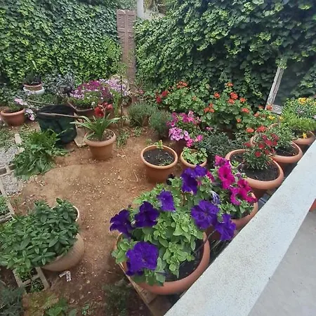 Apartment Carpe Diem Near The Athens Airport